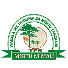 SVG image